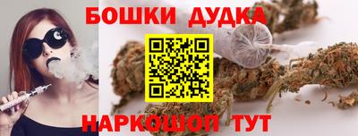 ALPHA PVP Гай