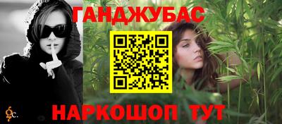 ALPHA PVP Гай
