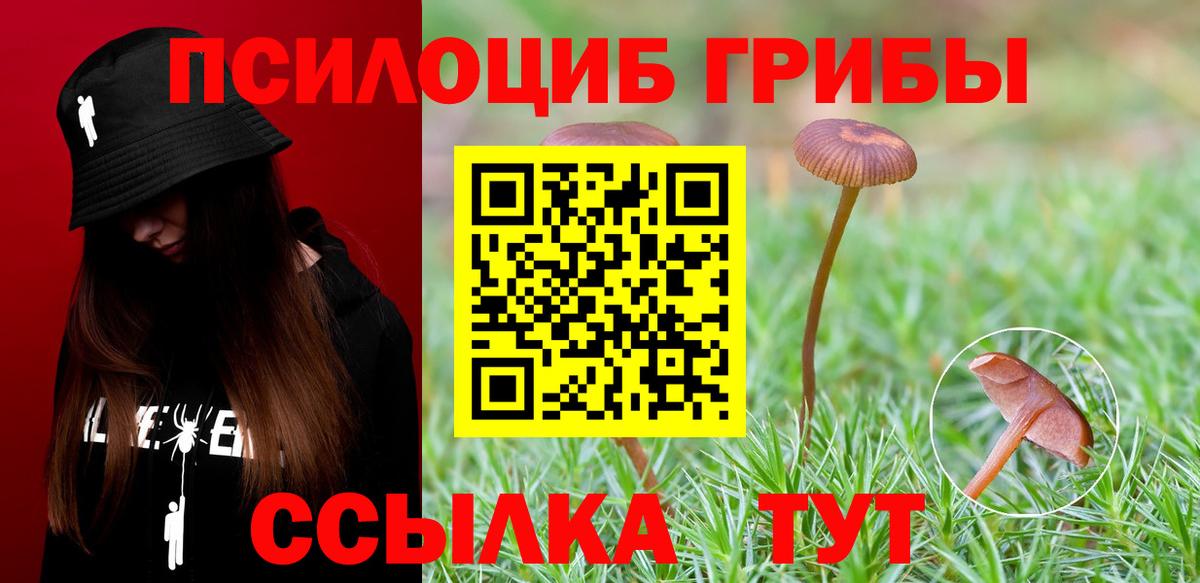 Псилоцибиновые грибы прущие грибы  Галлюциногенные грибы ЛСД  Вход с VPN  Волгодонск 