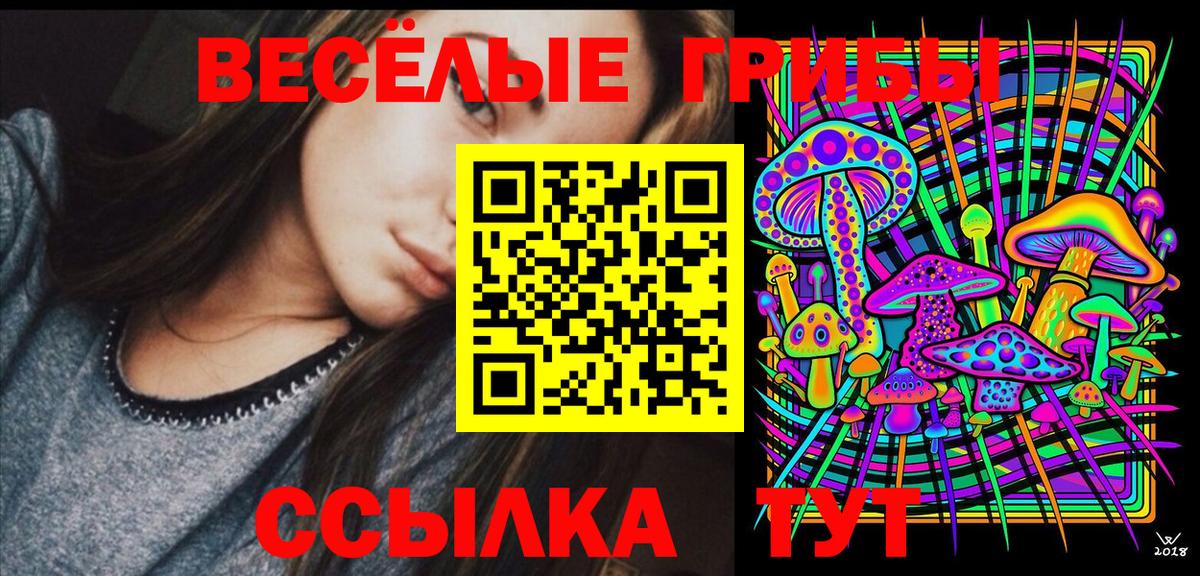 Псилоцибиновые грибы Psilocybe Волгодонск